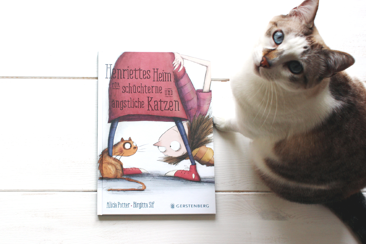 Herzenstipp: Henriettes Heim für schüchterne und ängstliche Katzen